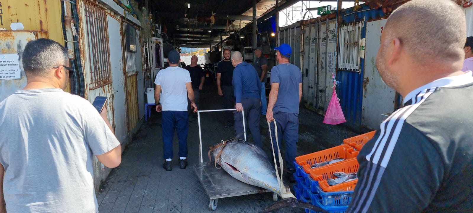 WhatsApp Image 2022-05-25 at 4.39.08 PM.jpeg